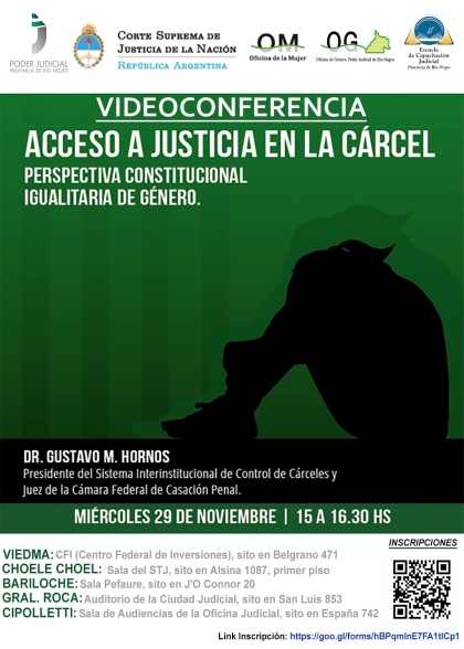 C&aacute;rceles, g&eacute;nero y acceso a justicia: videoconferencia en cinco ciudades rionegrinas