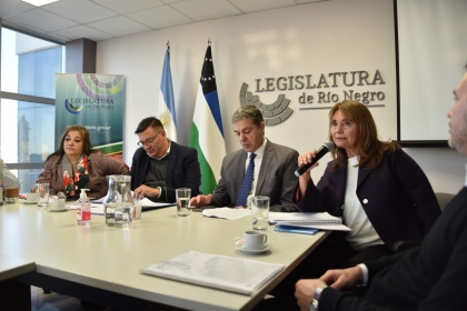 Respaldo en comisiones a iniciativa parlamentaria del STJ para reformar el C&oacute;digo Procesal Administrativo